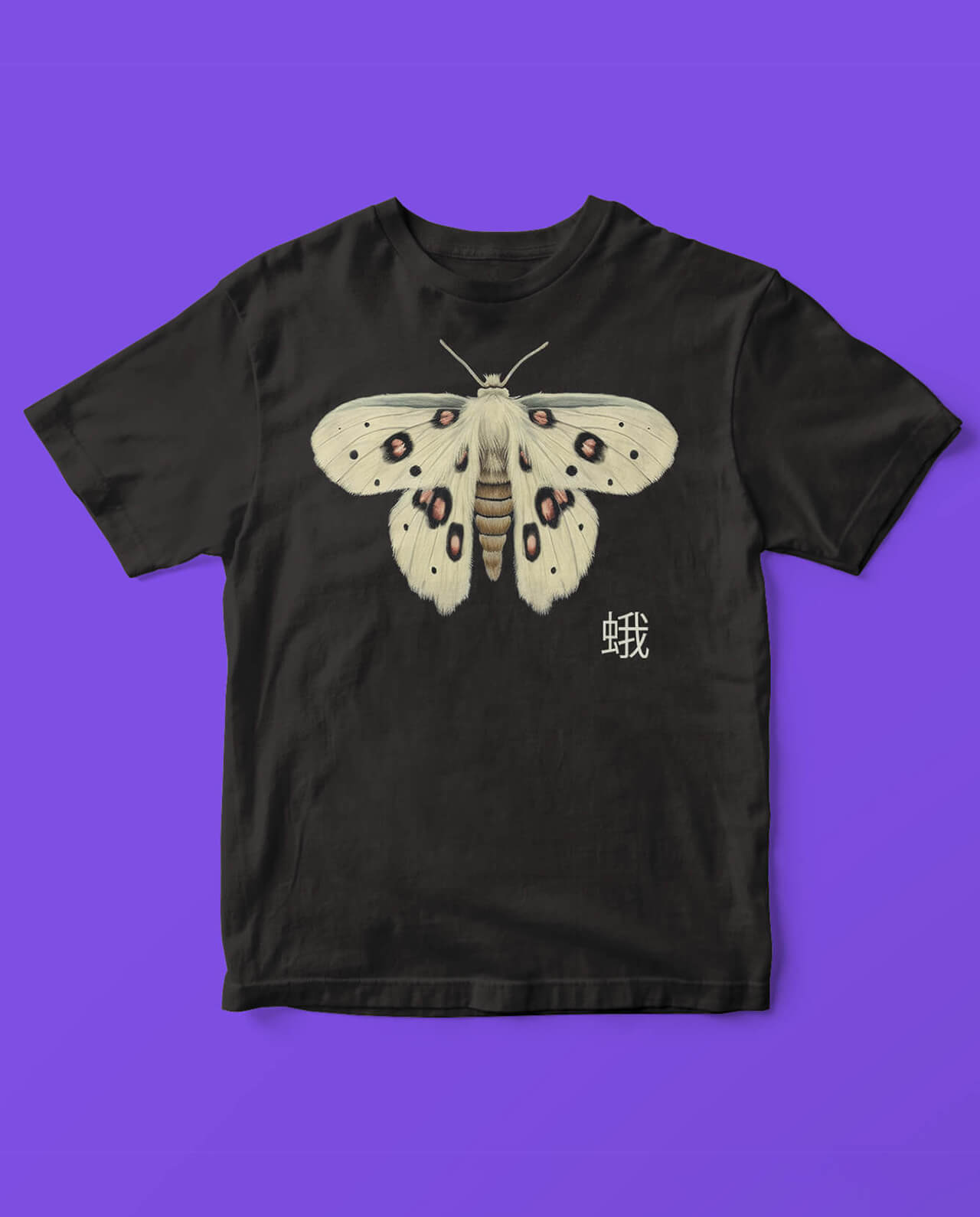 Moth n. 6