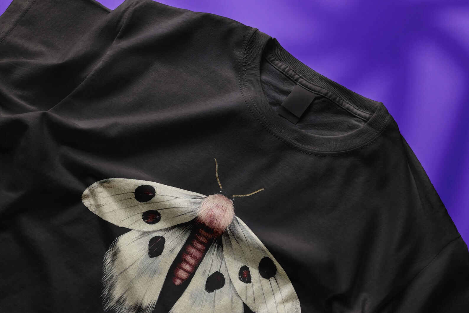 Moth n. 1 - Image 3