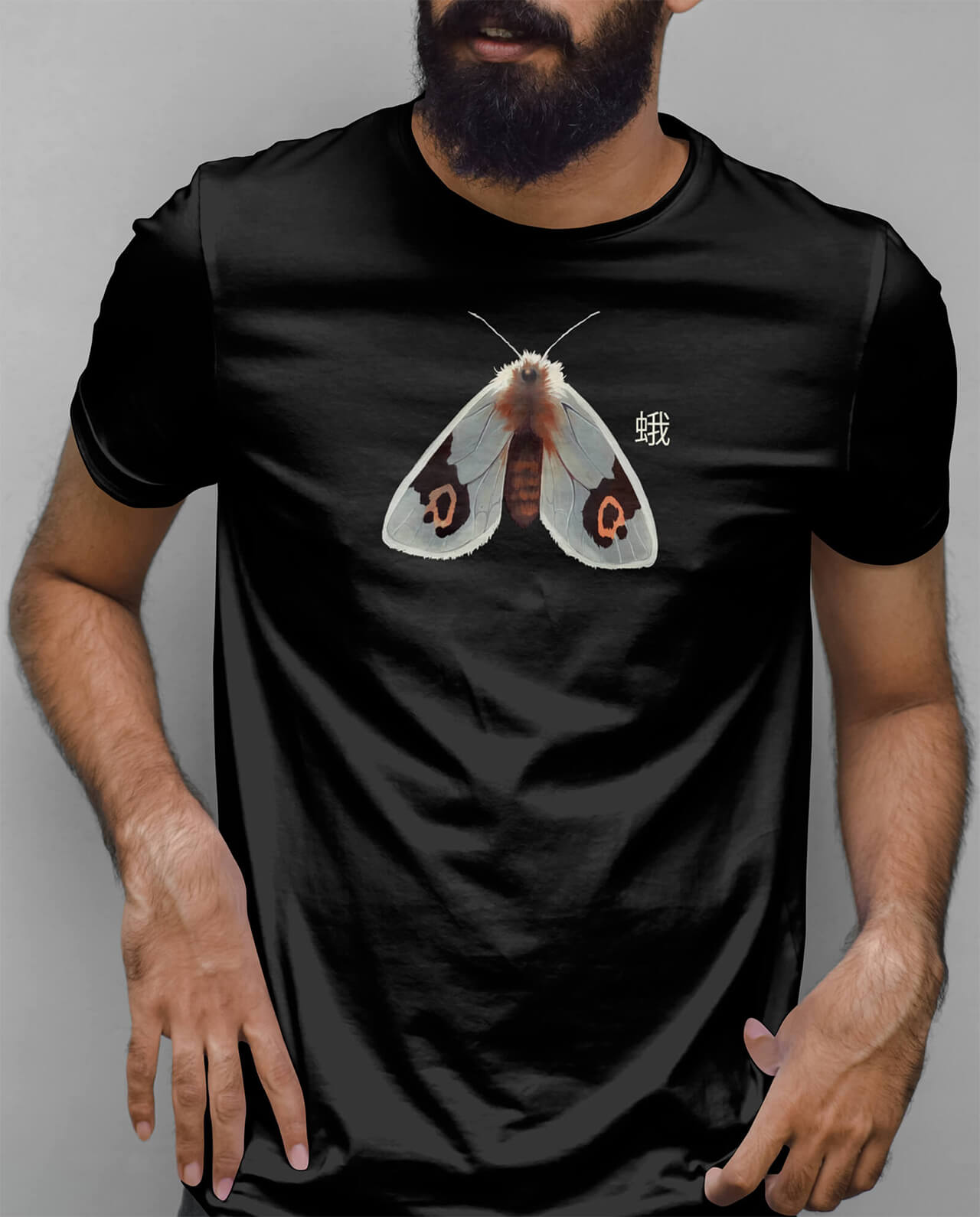Moth n. 4 - Image 2