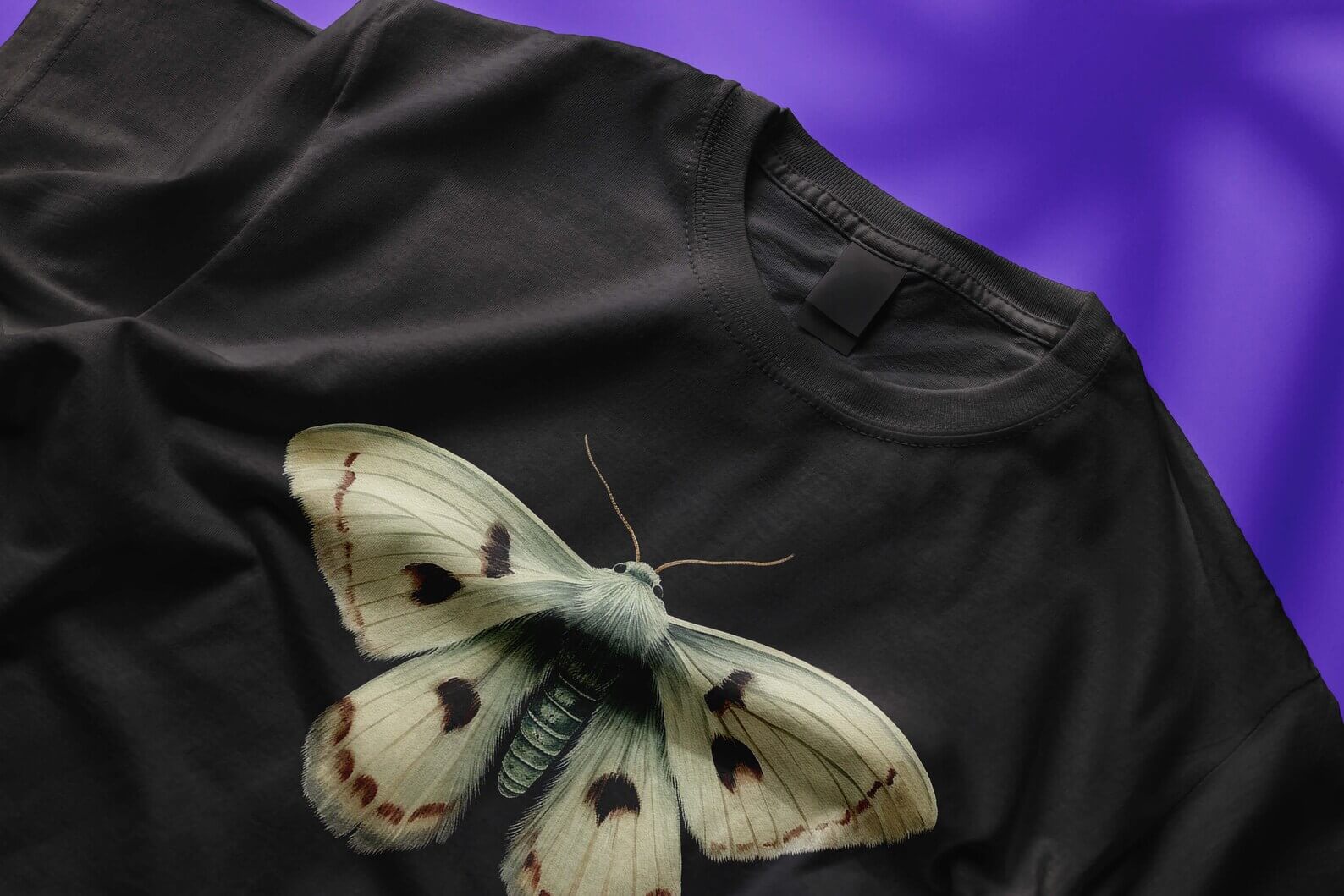 Moth n. 5 - Image 3