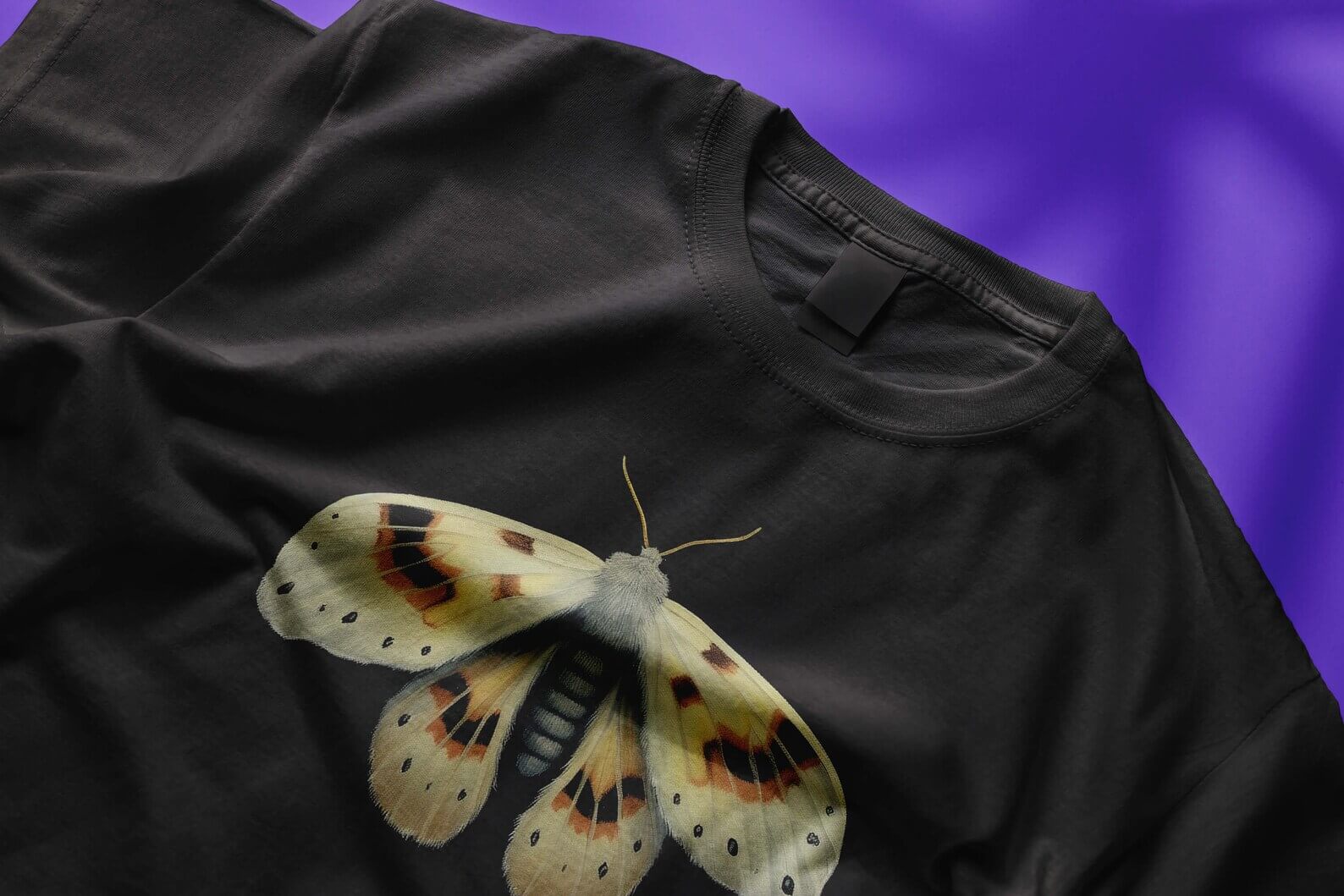 Moth n. 9 - Image 3