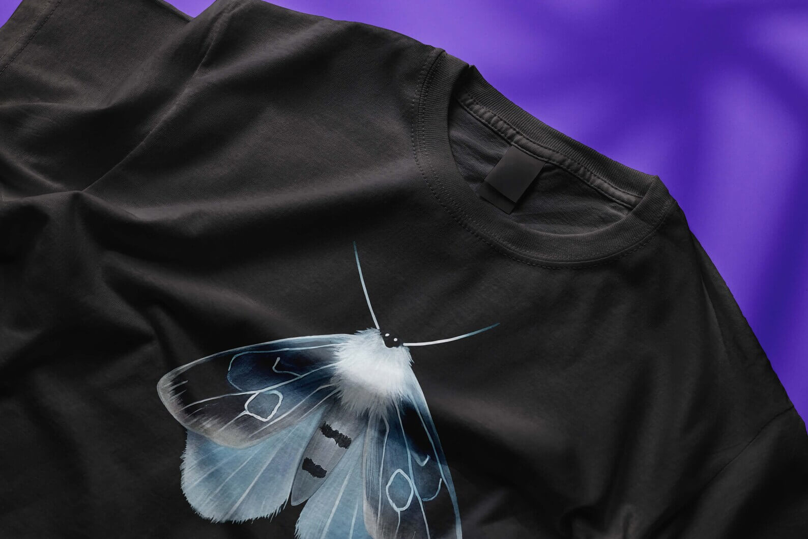 Moth n. 13 - Image 3